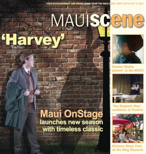 Maui Scene